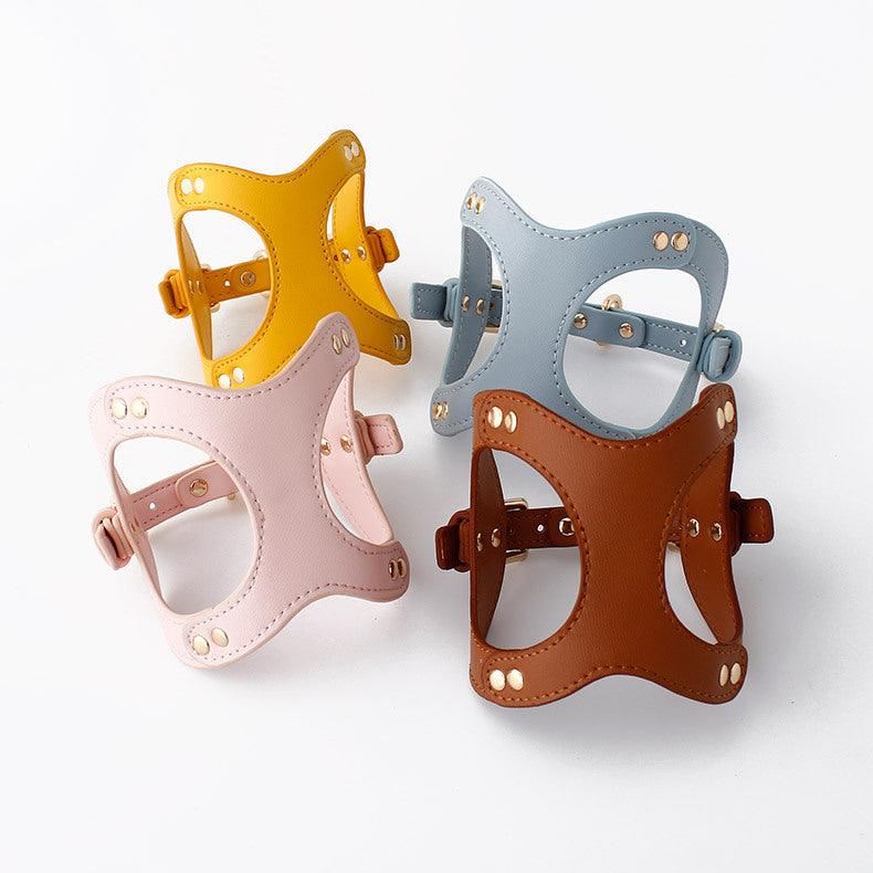 Pet Adventure Leash Set