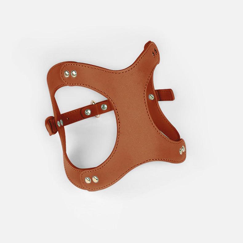Pet Adventure Leash Set