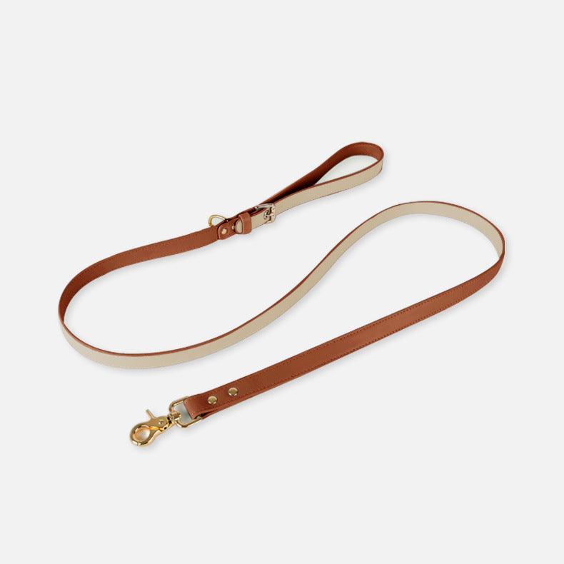 Pet Adventure Leash Set