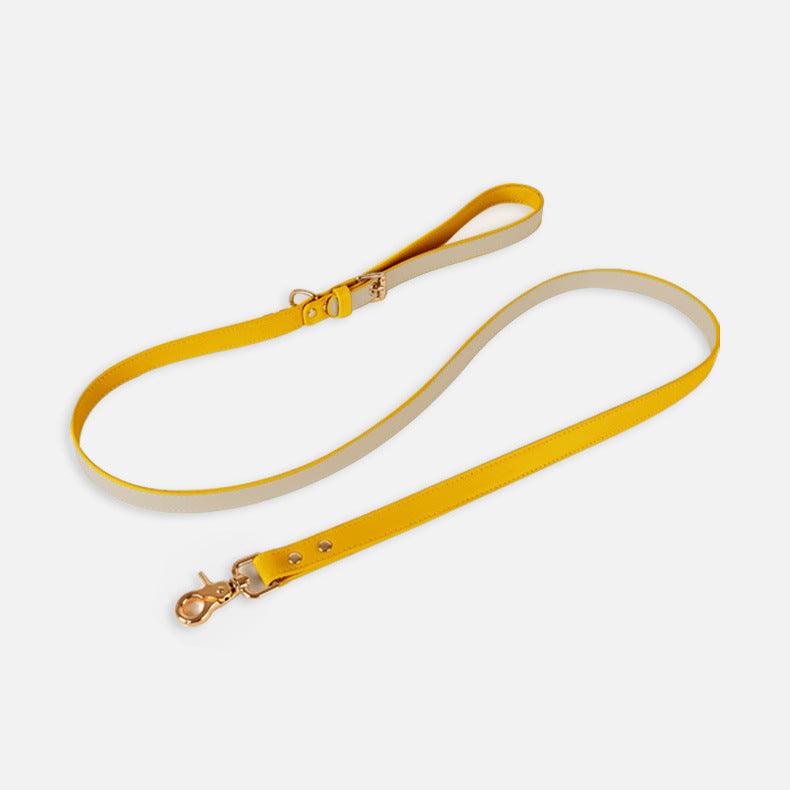 Pet Adventure Leash Set