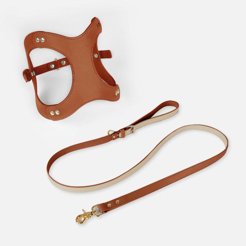 Pet Adventure Leash Set