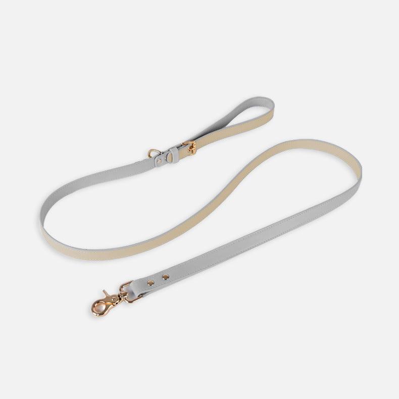 Pet Adventure Leash Set
