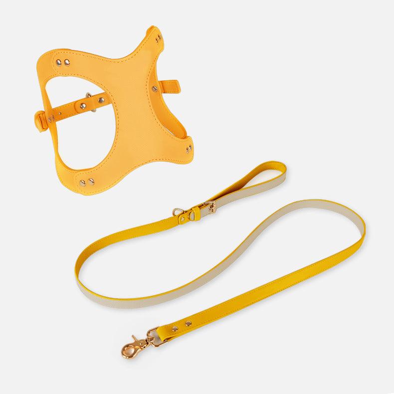 Pet Adventure Leash Set